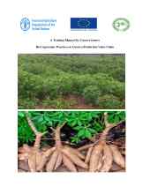 Training manual on best management practices of cassava